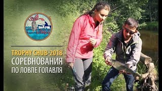 Турнир по ловле голавля