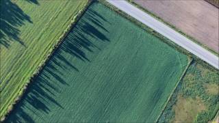 Michael Brun, Ben Alessi - U