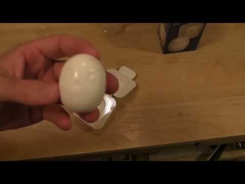download lagu mp3 mp4 Boiled Egg Skull, download lagu Boiled Egg Skull gratis, unduh video klip Boiled Egg Skull