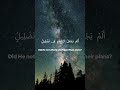 Surah Al Fil | 1-5 #quran #islam #quranrecitation