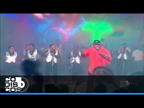 Se Acabaron, Farid Ortiz - Video Oficial