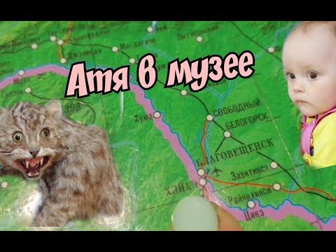 "Атя"  в музее. Физика, животный мир и Благовещенск на глобусе