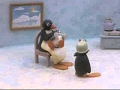 Pingu Pingu Wants Attention