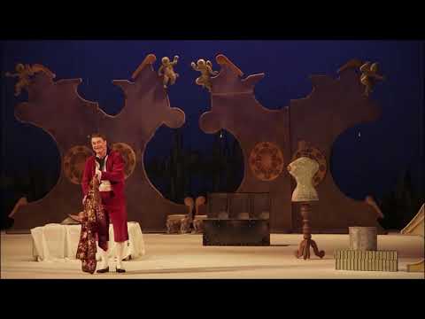 Petru Racovita Figaro “Wolfgang Amadeus Mozart 1-2 act