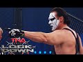 Sting Vs Mick Foley FULL MATCH Lockdown 2009