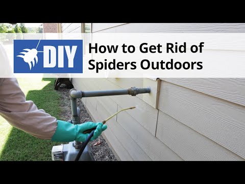  How to Get Rid of Spiders Outdoors Video 