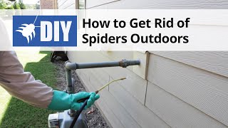 How to Get Rid of Spiders Outdoors