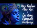 Hare Krishna Hare Ram + Om Namo Bhagavate Vasudevaya | Divine Krishna Bhajan Mashup 2026