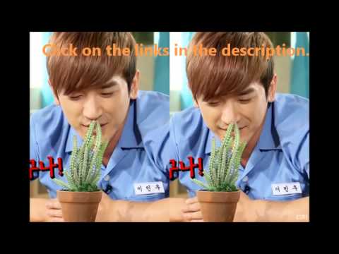 [SFSubs] Shinhwa Broadcast Episode 17 - English Subbed