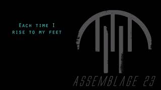 Assemblage 23 - Naked - Lyrics