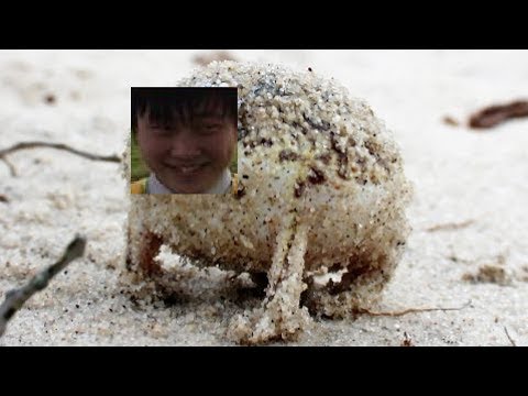 Angry Squeaking Tony