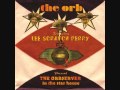 The Orb featuring Lee Scratch Perry - Police & Thieves