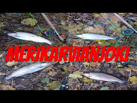 Pikapisto 19-20.10.2021 | Merikarvianjoki | Kalastus