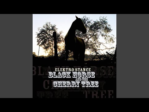 Black Horse and the Cherry Tree (Radio Mix)