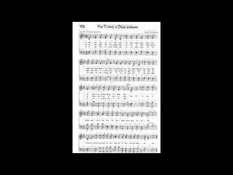 ENSAIO LOCAL CCB - 15/11/2022