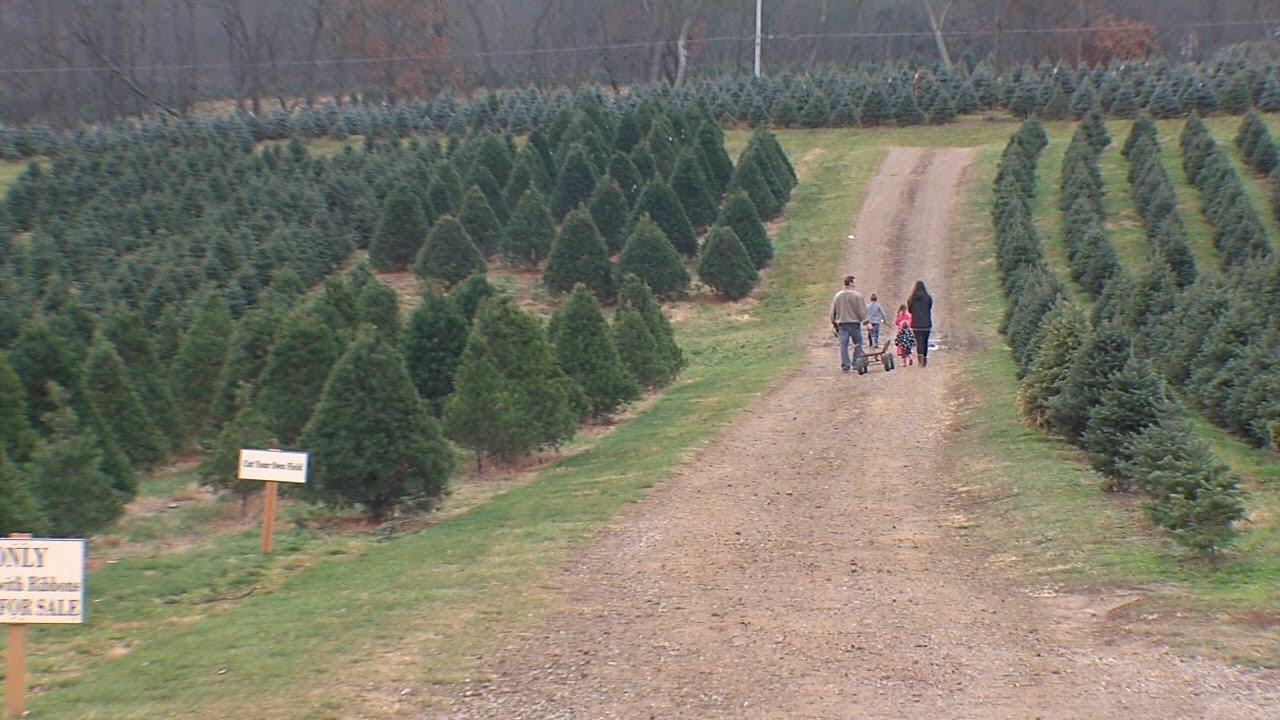 Holiday Fun 12/4/2016