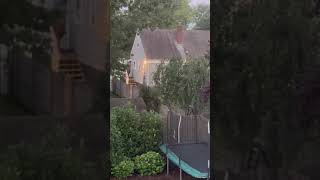 Westfield Police take man into custody 7/6/2023