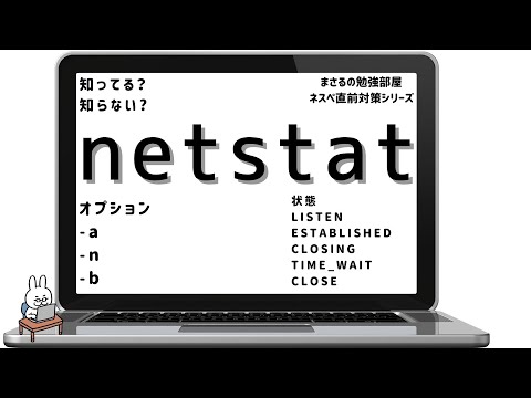 Netstatについて詳しく解説