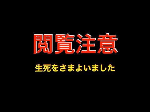 猫のホルネル症候群