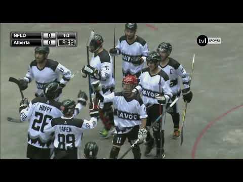 Alberta Havoc vs NL Colonial 2017 Canada Ball Hockey Masters Nationals St John, NB
