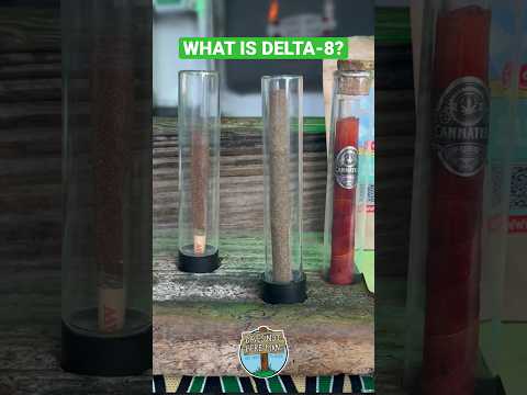 What is Delta-8 ? #Cannabis #KeyWest #Delta8 #THC #weed #Marijuana #Hemp