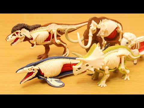 Dinosaur Dismantling Mashup -Anatomy/Jurassic World-
