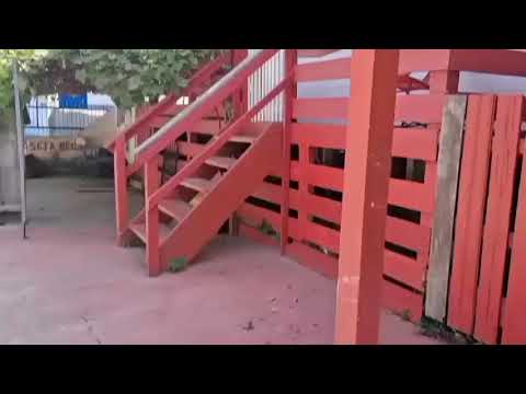 Um passeio no Careiro da várzea AM 