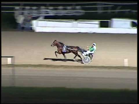 Trotto 30/10/2014 - 1° prova di riqualifica