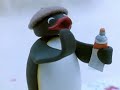 Pingu Laughing