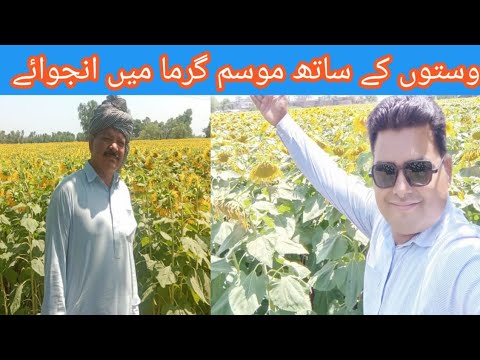 doctor sarwar sab ka khubsurat musam main kallam #beautiful #flower#RPO#DPO#iG#office