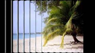 Flora Purim - Less Than Lovers