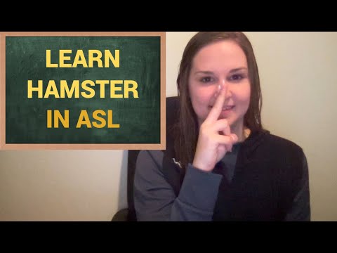 How to Sign Hamster in Auslan