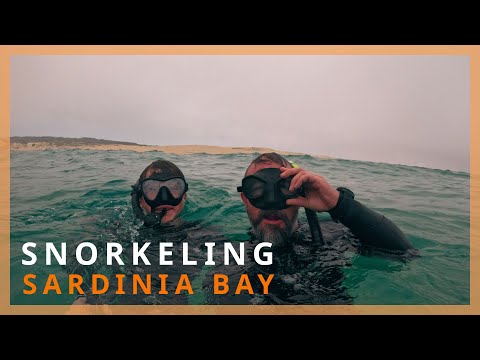 Snorkeling Sardinia Bay, Eastern Cape