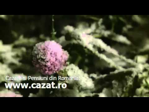 Cazare Ceanu Mare, Cluj - Cazat.ro