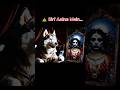 Bhool Bhulaiyaa Last Part Manjulika S Curse EXPOSED Bhool Bhulaiya Horror Ending Husky Shorts