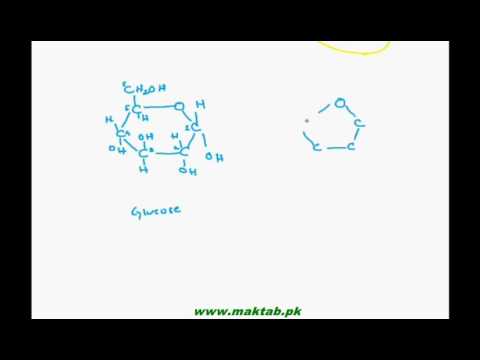 FSC Biology Book1, CH 2, LEC 4: Carbohydrates (Part2)