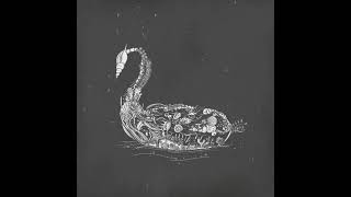 Black Swan - Pablo Nouvelle Remix Music Video