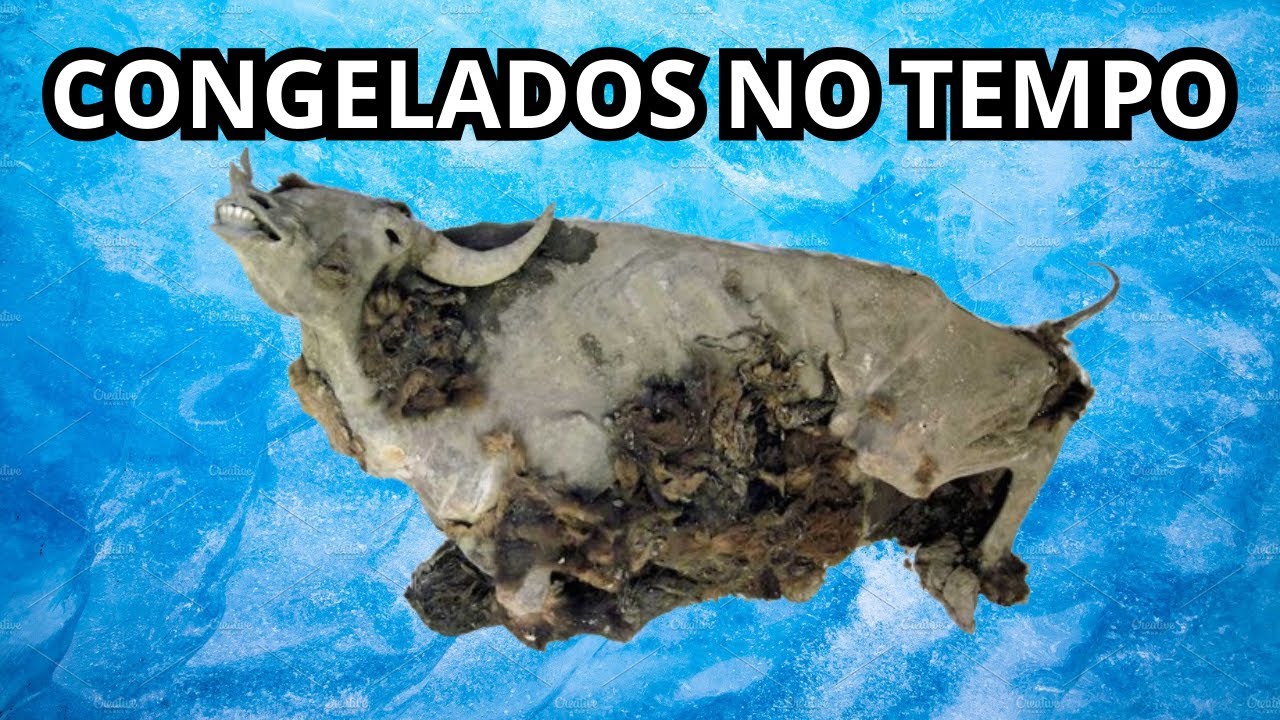 5 Animais extintos que foram encontrados congelados