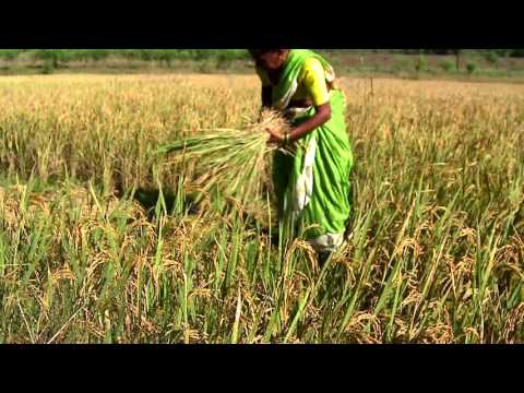 Global inequalities – Research beacons at The University of Manchester