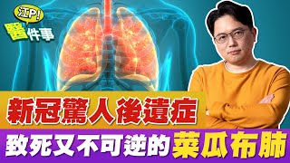 新冠肺炎後遺症 菜瓜布肺 不可逆！肺部纖維化 傷心臟 猝死率高！