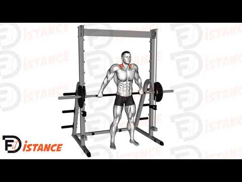 Exercice Shrugs prise large à la guidée (Smith machine)