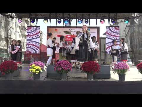 Târgul Mărului 2023 - Spectacol (16)