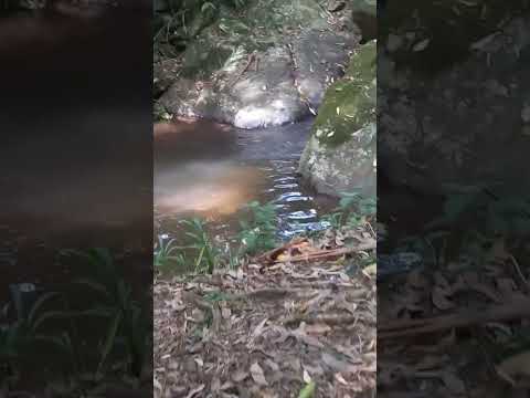 Nova Hartz Rio grande do sul