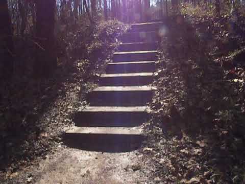 This is the entrance from the Cape Fear River, in case you are canoeing in.