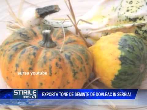 , title : 'Exportă tone de seminţe de dovleac în Serbia'