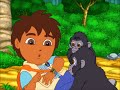 Juma Explains Diego Found The Baby Mountain Gorillas