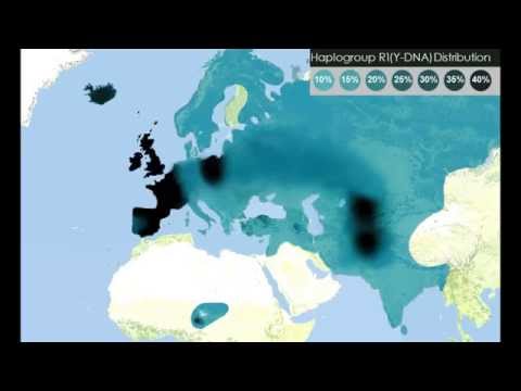 Y-DNA Haplogroup in world