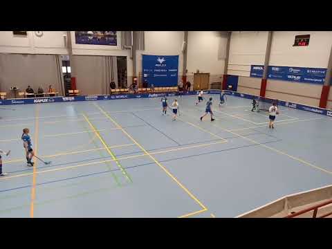 Nibacos T14 - Blue fox sininen 11.2.2023