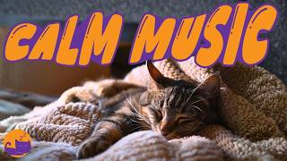 I Played This for My Cat… Now They Won’t Sleep Without It 🐱 (12 Hours)