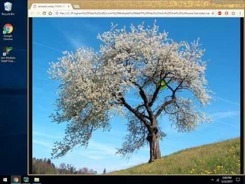Join Multiple WebP Files Into One Software
